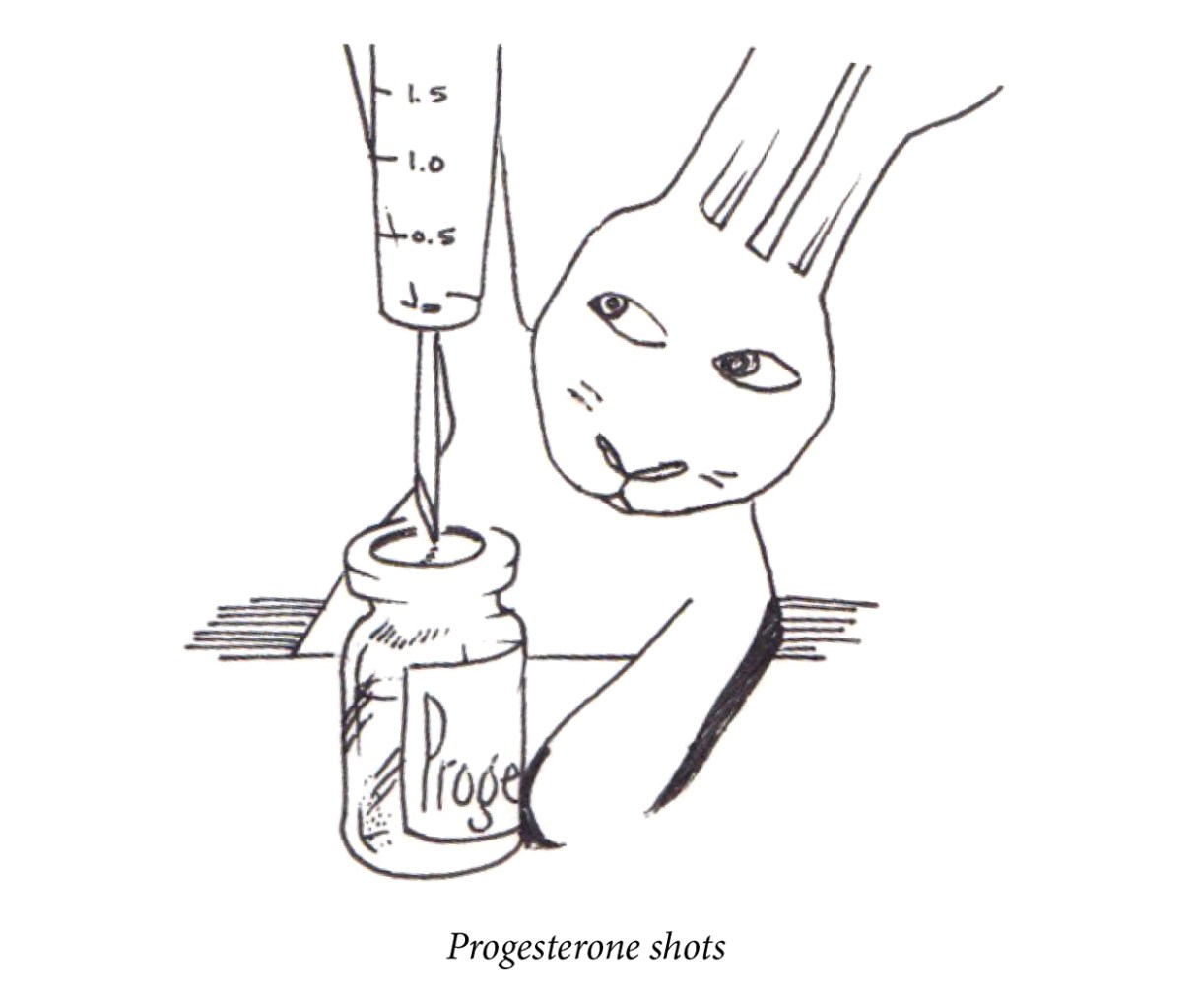 Image description: A rabbit prepared a shot of progesterone. Caption: “Progesterone shots.”