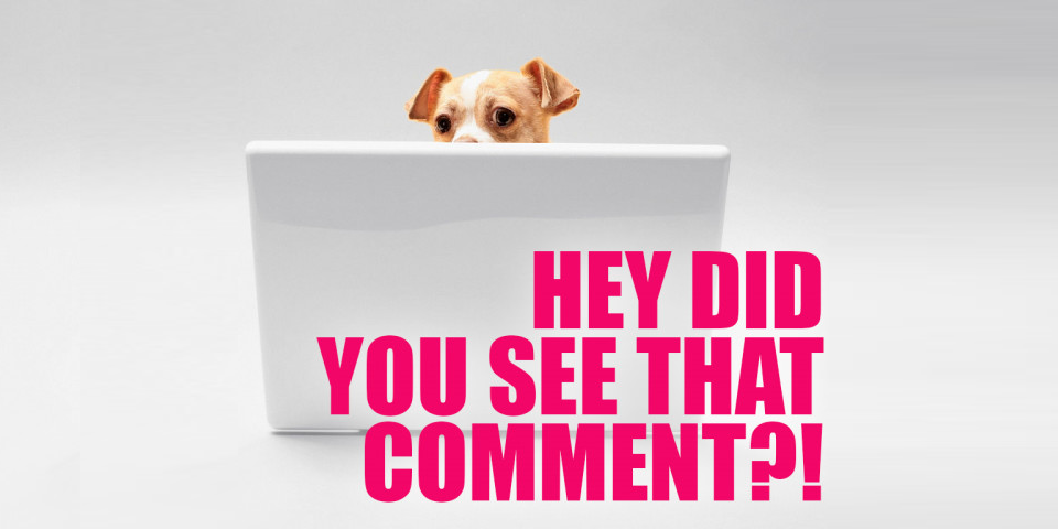 small dog sitting at a laptop with the words "hey did you see that comment?"