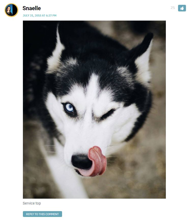 Text: "Service top" Image: Husky dog winking and licking their lips