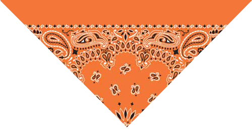 Queer Flagging 101: How to Use the Hanky Code to Signal the Sex You ...