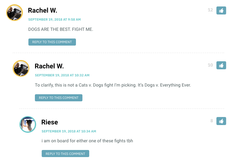 Rachel W.: DOGS ARE THE BEST. FIGHT ME...To clarify, this is not a Cats v. Dogs fight I’m picking. It’s Dogs v. Everything Ever. / Riese: i am on board for either one of these fights tbh
