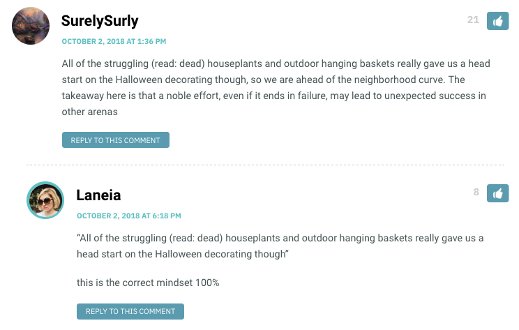 All of the struggling (read: dead) houseplants and outdoor hanging baskets really gave us a head start on the Halloween decorating though, so we are ahead of the neighborhood curve. The takeaway here is that a noble effort, even if it ends in failure, may lead to unexpected success in other arenas