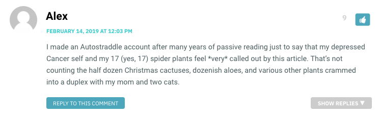 I made an Autostraddle account after many years of passive reading just to say that my depressed Cancer self and my 17 (yes, 17) spider plants feel *very* called out by this article. That’s not counting the half dozen Christmas cactuses, dozenish aloes, and various other plants crammed into a duplex with my mom and two cats.