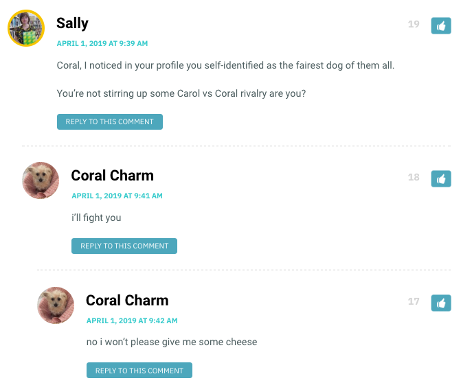 Coral, I noticed in your profile you self-identified as the fairest dog of them all. You’re not stirring up some Carol vs Coral rivalry are you?