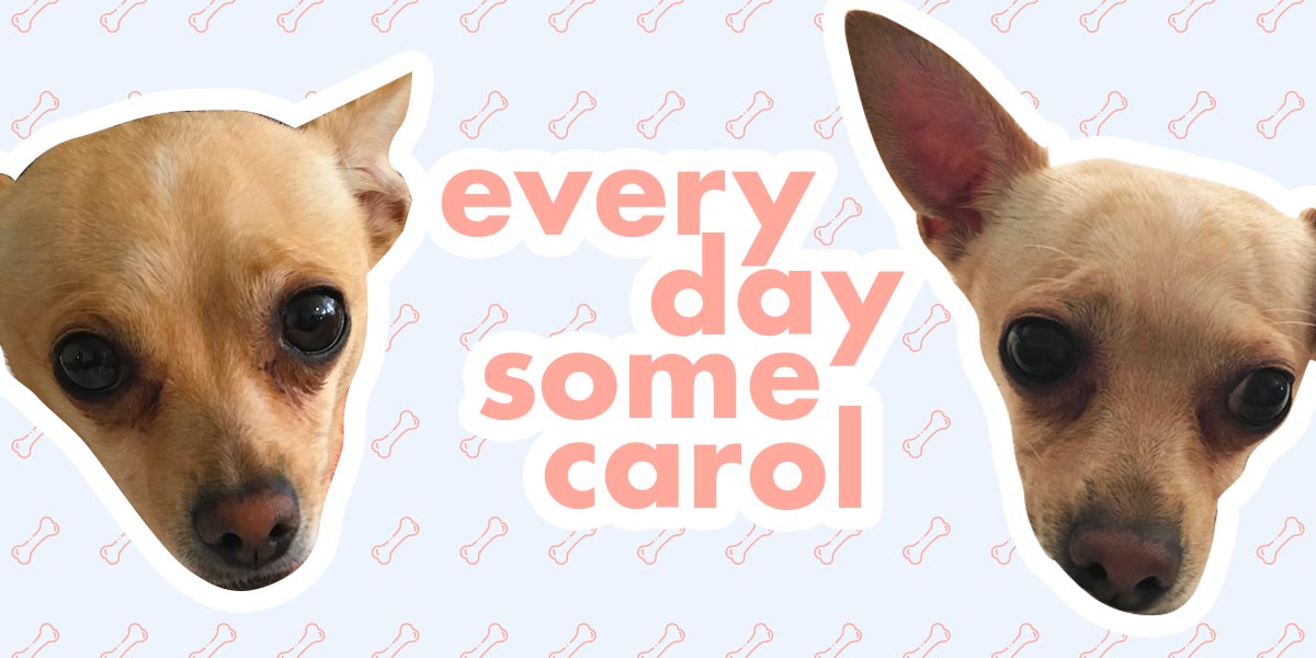 "every day some carol" image