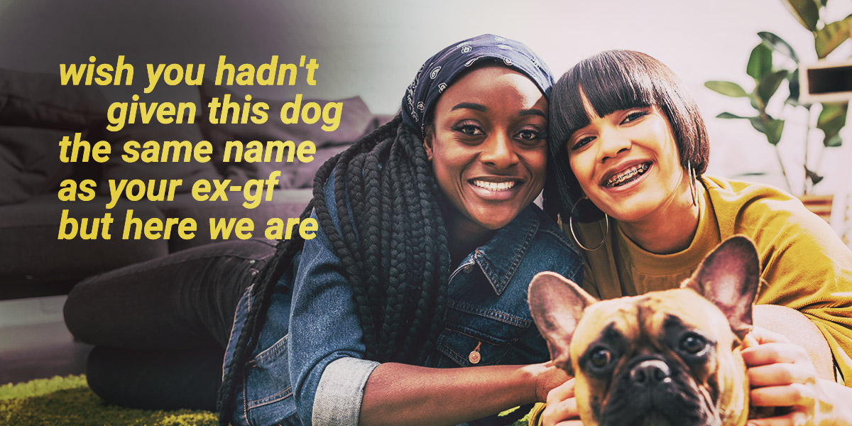 The Truth About Cats and Dogs and Gay Dating | Autostraddle The Truth About Cats and Dogs and Gay Dating | Autostraddle