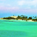 Alone In the Tropical Everglades