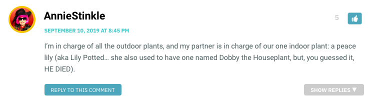 I’m in charge of all the outdoor plants, and my partner is in charge of our one indoor plant: a peace lily (aka Lily Potted… she also used to have one named Dobby the Houseplant, but, you guessed it, HE DIED).