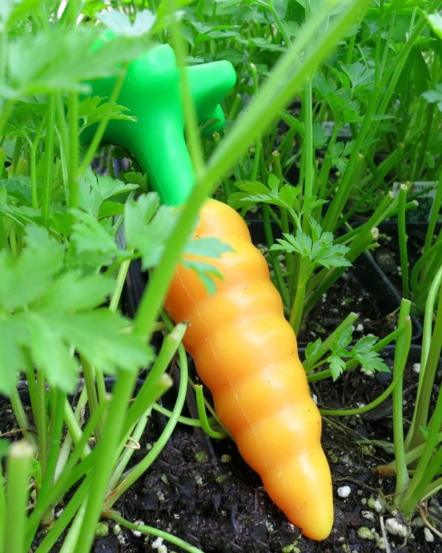 a carrot-shaped butt plug nestled in a garden