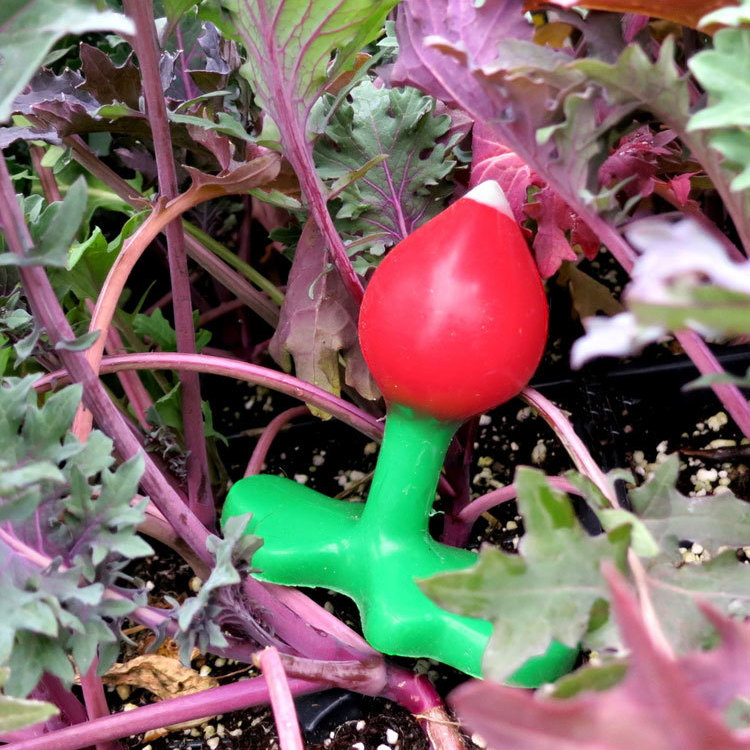 A radish-shaped butt plug nestled in a garden