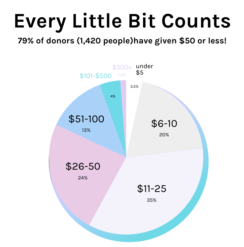 This chart demonstrates that 79% of donations to our $100k goal were made up of donations that were $50 or less. 