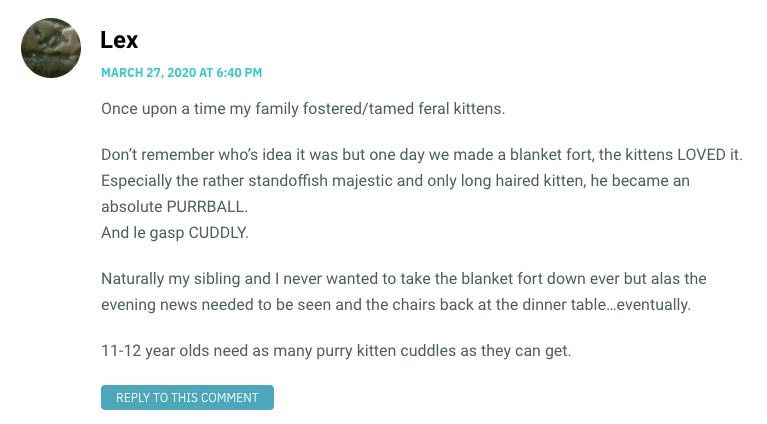 Once upon a time my family fostered/tamed feral kittens. Don’t remember who’s idea it was but one day we made a blanket fort, the kittens LOVED it. Especially the rather standoffish majestic and only long haired kitten, he became an absolute PURRBALL. And le gasp CUDDLY. Naturally my sibling and I never wanted to take the blanket fort down ever but alas the evening news needed to be seen and the chairs back at the dinner table…eventually. 11-12 year olds need as many purry kitten cuddles as they can get.