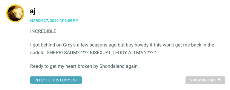 INCREDIBLE. I got behind on Grey’s a few seasons ago but boy howdy if this won’t get me back in the saddle. SHERRI SAUM????? BISEXUAL TEDDY ALTMAN???? Ready to get my heart broken by Shondaland again.