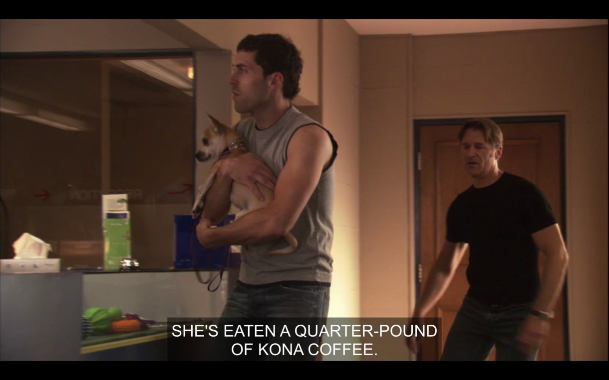 Two dudes in the waiting room of a vet's office. One of them is holding a small dog and says to the receptionist, "She's eaten a quarter-pound of Kona coffee."