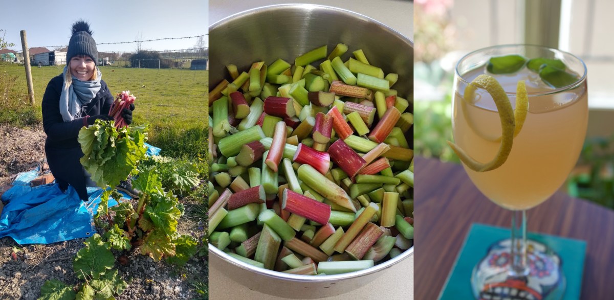 rhubarb!