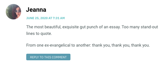 The most beautiful, exquisite gut punch of an essay. Too many stand-out lines to quote. From one ex-evangelical to another: thank you, thank you, thank you.