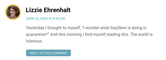 Yesterday I thought to myself, “I wonder what GayStew is doing in quarantine?” And this morning I find myself reading this. The world is hilarious.