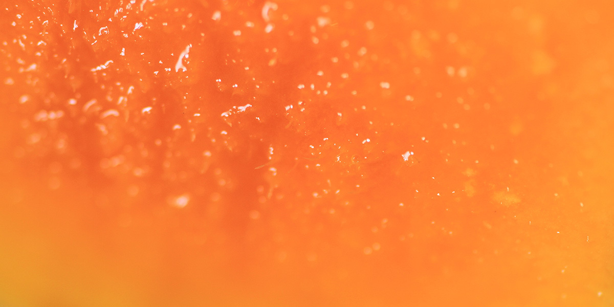 close-up of dewy bright orange mango flesh fills the whole window