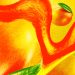 Anatomy Of A Mango: Skin