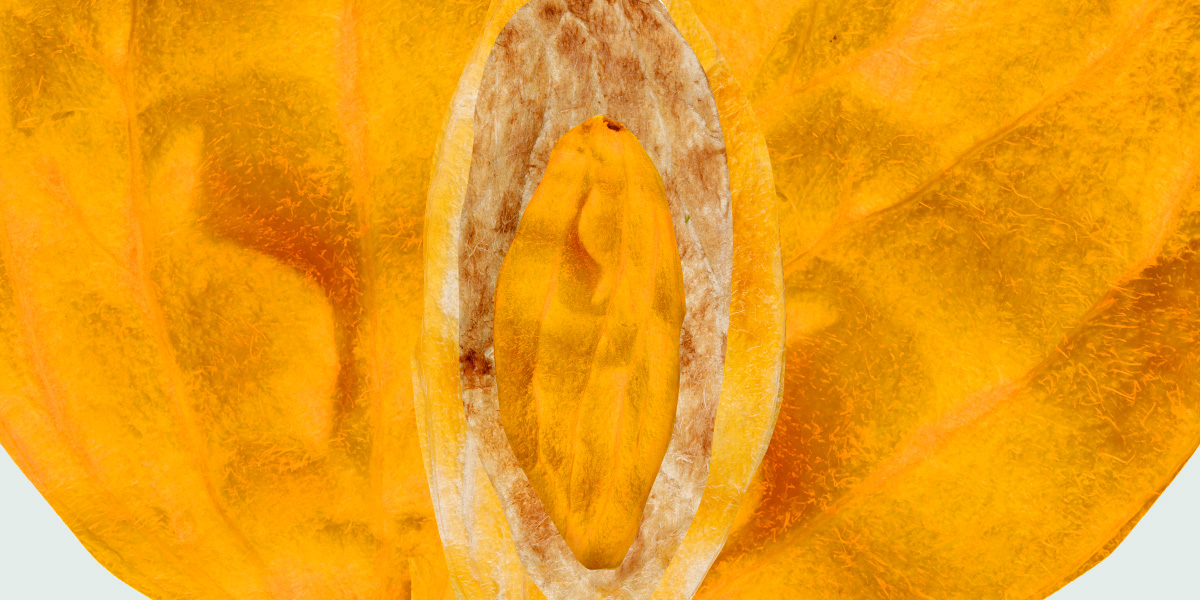collage of mango pits arranged in a vulvic shape, with many layers and folds and wrinkles, all in a sweet juicy orange hue