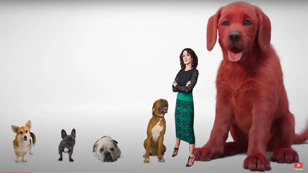A size comparison featuring four normal sized dogs lined up left to right, then Jennifer Beals as Bette Porter, then Clifford