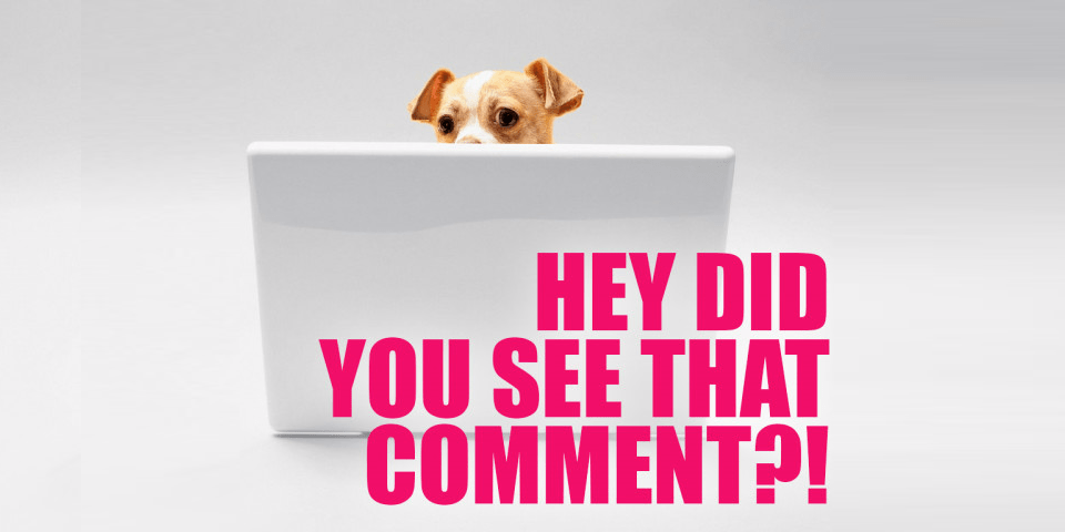 A small, brown and white dog peeking over their laptop screen, with a caption that says "Hey did you see that comment?!"
