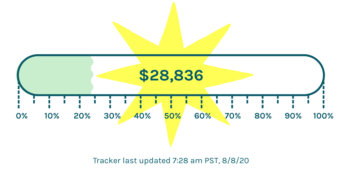 A tracker showing we are $28,836 to our $118,000 goal - updaded at 7:28am PST