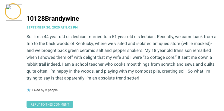 So, I’m a 44 year old cis lesbian married to a 51 year old cis lesbian. Recently, we came back from a trip to the back woods of Kentucky, where we visited and isolated antiques store (while masked)- and we brought back green ceramic salt and pepper shakers. My 18 year old trans son remarked when I showed them off with delight that my wife and I were “so cottage core.