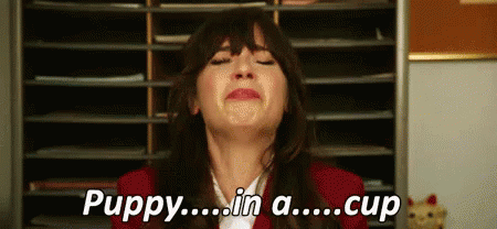 A gif of Jess from the television show "The New Girl" crying hysterically on the floor about a puppy in a cup.