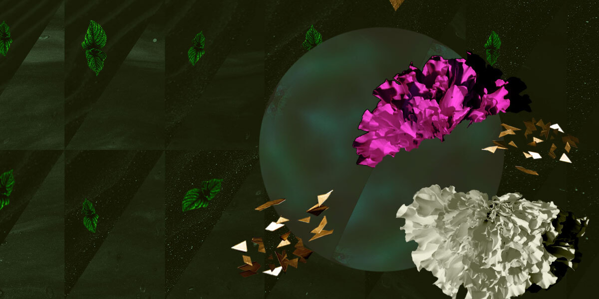 A multimedia collage of plants from the garden (marigolds and mint) planted into grave-like shapes in the background.