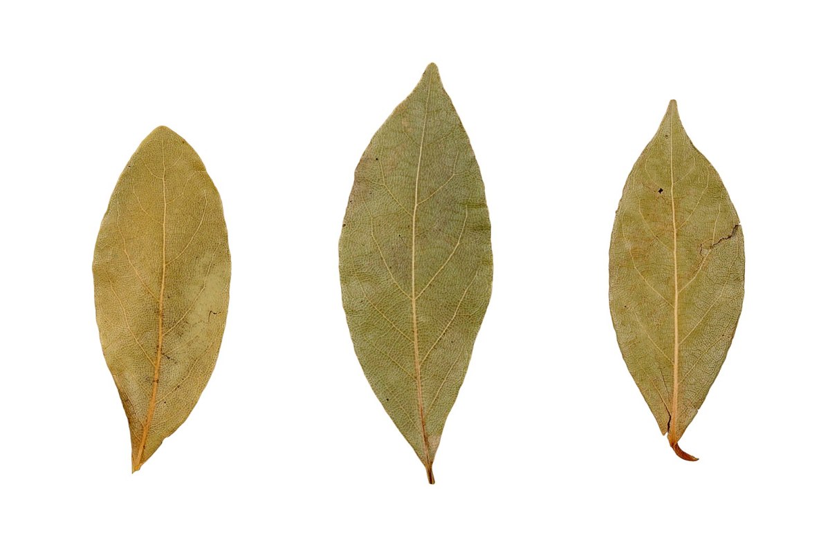 3 bay leaves