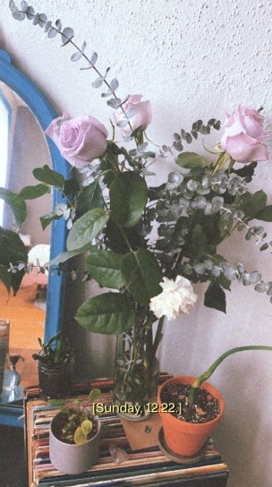 A photo of a bouquet of lavender flowers and a white carnation. In the background is a mirror that shows the reflection of other plants and records in a sunlit apartment