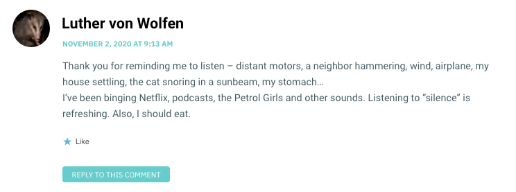 Thank you for reminding me to listen – distant motors, a neighbor hammering, wind, airplane, my house settling, the cat snoring in a sunbeam, my stomach… I’ve been binging Netflix, podcasts, the Petrol Girls and other sounds. Listening to “silence