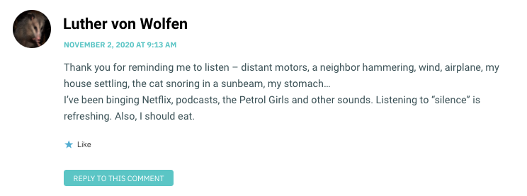 Thank you for reminding me to listen – distant motors, a neighbor hammering, wind, airplane, my house settling, the cat snoring in a sunbeam, my stomach… I’ve been binging Netflix, podcasts, the Petrol Girls and other sounds. Listening to “silence