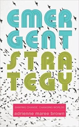 a book with thick, tubular letters that read "Emergent Strategy" in blue and green letters against background with birds flying. At the bottom in a pink box text reads "Shaping change, changing worlds adrienne maree brown"