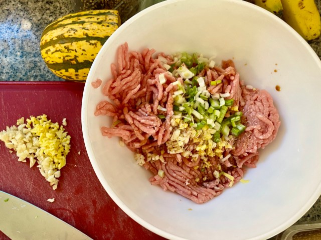 ground pork in a bowl with onions, garlic and ginger on top