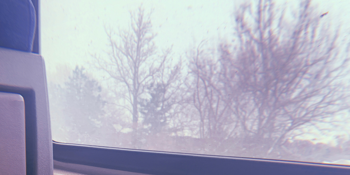 Image shows a view of trees outside from inside a train car. There is a leg in the frame, wearing jeans and sneakers in the shot as well.