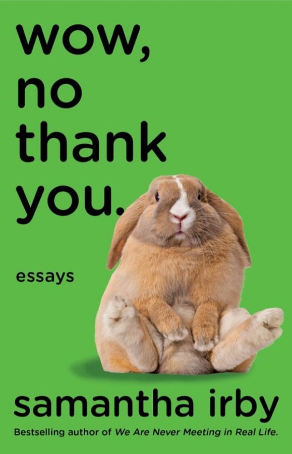 cover of Wow, No Thank You: a bunny sits with its hind legs splayed out in front of it on a kelly green background