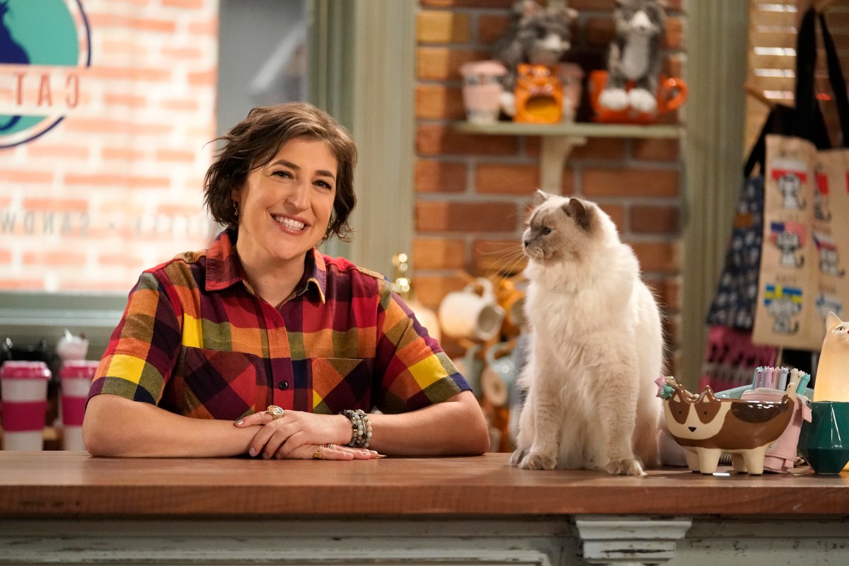 Mayim Bialik sits with a cat on the counter of the cafe she owns in Call Me Kat. 