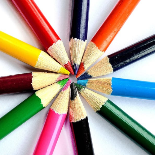 Profile picture of Indian Parv