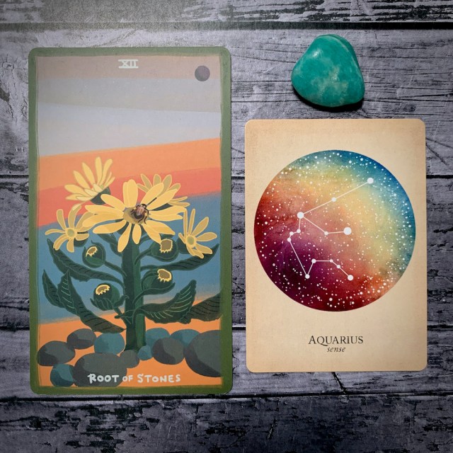 A photo of the tarot card for Root of Stones and the astrological card representing Aquarius, along with a small crystal