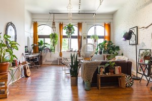 plant-filled bohemian apartment