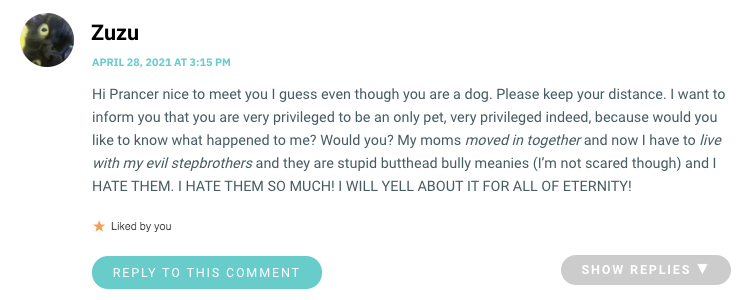 Hi Prancer nice to meet you I guess even though you are a dog. Please keep your distance. I want to inform you that you are very privileged to be an only pet, very privileged indeed, because would you like to know what happened to me? Would you? My moms moved in together and now I have to live with my evil stepbrothers and they are stupid butthead bully meanies (I’m not scared though) and I HATE THEM. I HATE THEM SO MUCH! I WILL YELL ABOUT IT FOR ALL OF ETERNITY!