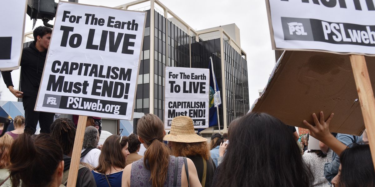 A photo taken from the back of a crowd at a protest, featuring people holding signs that read FOR THE EARTH TO LIVE, CAPITALISM MUST END