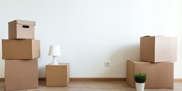 A photo of moving boxes, a small lamp and small potted plant stacked up against a wall.