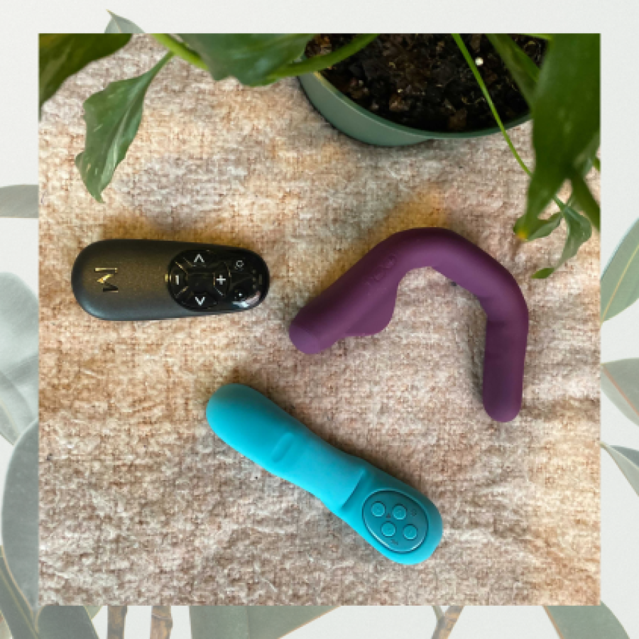 Image shows two vibrators and one remote nestled together on top of a pink blanket. There is a small Plant in the frame shaping the photo.