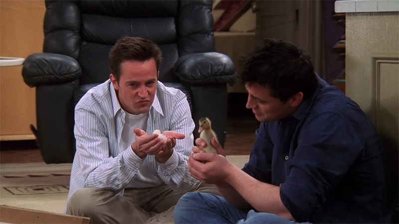Joey and Chandler sit on the floor and play with the chick and the duck