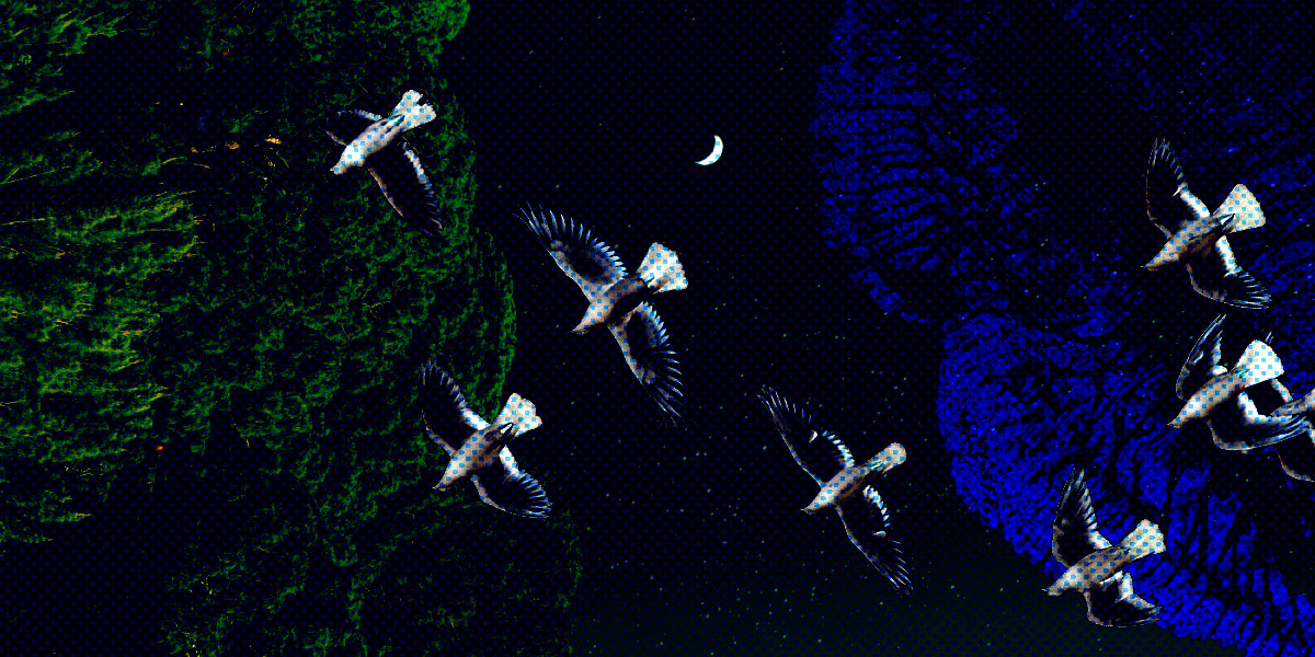 a collage of three textures - a green forest, a black night sky and a royal blue lipstick mark. there is a flock of birds flying above the composition, and in the far distance, you can see the thin sliver of a crescent moon