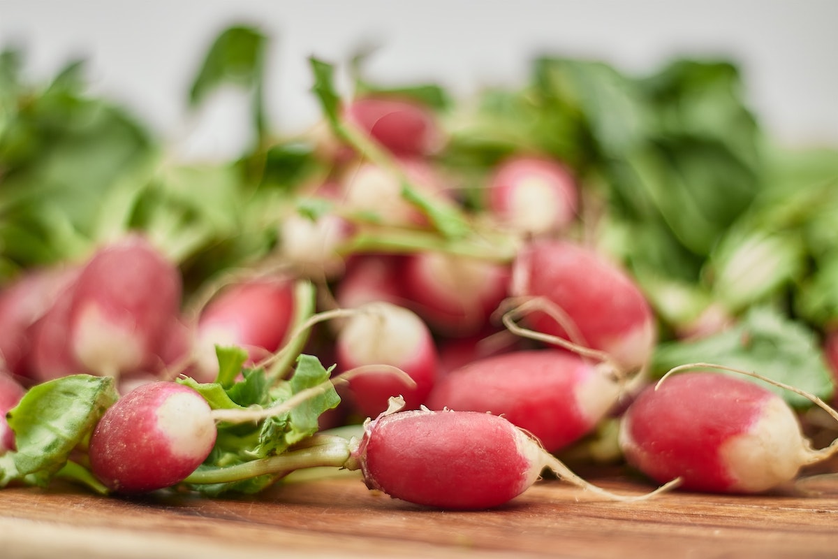 A close up photo of several bunches of radishes. Radishes are one of the easiest vegetables to grow from seed, great for beginners and it's not too late to plant their seeds in May.