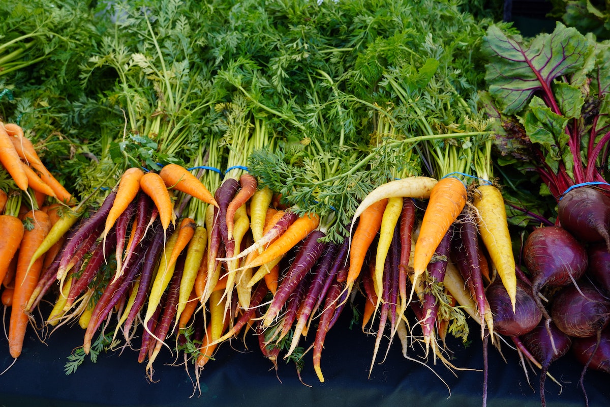 A photo of bunches of carrots and beets. Carrots and beets are great vegetables to grow from seed in May.